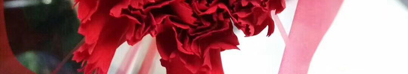 3.8女神节,k8凯发男神请吃下午茶