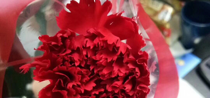 3.8女神节,k8凯发男神请吃下午茶